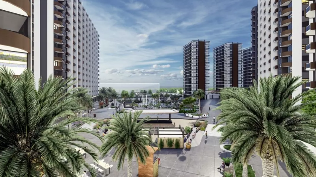 product-18086-800×600