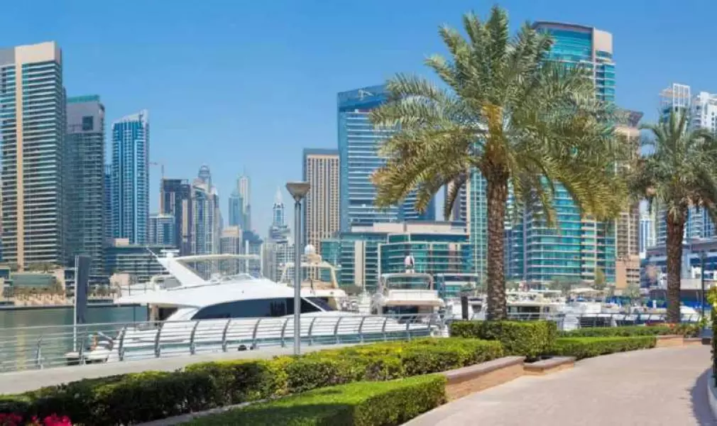 product_image-28693-1-800×600